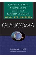 Glaucoma: Color Atlas & Synopsis of Clinical Ophthalmology (Wills Eye Hospital Series)
