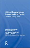 Critical Energy Issues in Asia and the Pacific