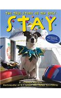 Stay: The True Story of Ten Dogs