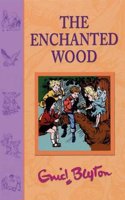 The Enchanted Wood
