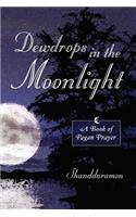 Dewdrops In The Moonlight
