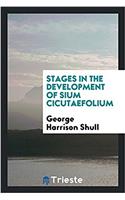 Stages in the Development of Sium Cicutaefolium