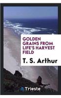 Golden Grains from Life's Harvest Field