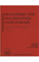 High Intensity and High Brightness Hadron Beams