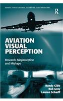 Aviation Visual Perception