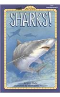 Sharks!