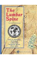 Lumbar Spine