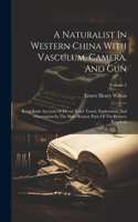 Naturalist In Western China With Vasculum, Camera, And Gun