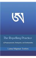 The Repelling Practice of Prajnaparamita, Sitatapatra, and Simhamukha