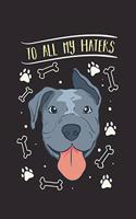 To All My Haters