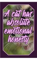 A Cat Has Absolute Emotional Honesty