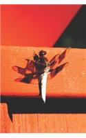 Dragonfly on Bridge Pretty Blank Lined Journal for daily thoughts notebook Lovely Lake Arrowhead Photograph: (37 Covers: Pretty Photographs of Lake Arrowhead)