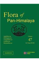 Aquifoliaceae, Helwingiaceae, Campanulaceae, Lobeliaceae, Menyanthaceae