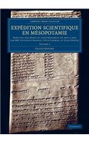 Expédition scientifique en Mésopotamie