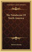 The Naiadaceae of North America