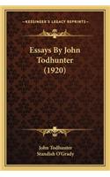 Essays By John Todhunter (1920)