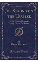 Joe Strong on the Trapeze: Or the Daring Feats of a Young Circus Performer (Classic Reprint)