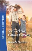Six Weeks to Catch a Cowboy: (3 Match Made in Haven)