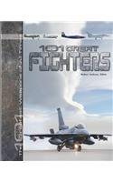 101 Great Fighters