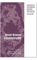 Molecular Mechanisms of Spondyloarthropathies
