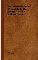 Letters of Junius - Complete in One Volume - With a Copious Index