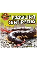 Crawling Centipedes