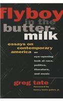 Flyboy in the Buttermilk: Essays on Contemporary America