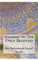 Soaring to The Only Beloved