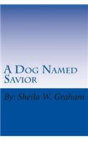 Dog Named Savior
