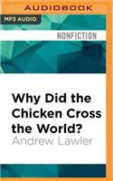 Why Did the Chicken Cross the World?