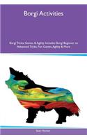 Borgi Activities Borgi Tricks, Games & Agility Includes: Borgi Beginner to Advanced Tricks, Fun Games, Agility & More