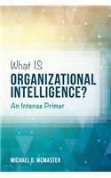 What IS Organizational Intelligence?