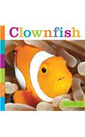 Seedlings: Clownfish