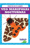 Veo Mariposas Nocturnas (I See Moths)