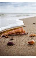 Seashells on the Beach Journal