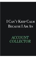 I cant Keep Calm because I am an Account Collector: Writing careers journals and notebook. A way towards enhancement