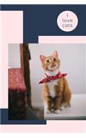 I love cats