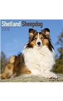 Shetland Sheepdog Calendar 2018