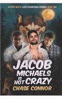 Jacob Michaels Is Not Crazy (A Point Worth LGBTQ Paranormal Romance Book 2)