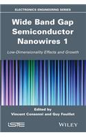 Wide Band Gap Semiconductor Nanowires 1