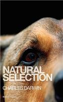 Natural Selection