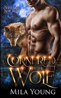 Cornered by the Wolf