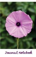 Journal Notebook.: (Diary, Notebook) Glossy & Soft Cover, White Blank book and lined 6"x9" 100 Pages.(Journal Notebook Flower Edition.)