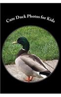 Cute Duck Photos for Kids