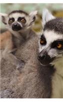 Mama and Baby Ring Tailed Lemurs Journal: Take Notes, Write Down Memories in this 150 Page Lined Journal