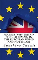 Reasons Why Britain Should Remain in the European Union and Not BREXIT