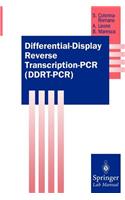 Differential-Display Reverse Transcription-PCR (Ddrt-Pcr)