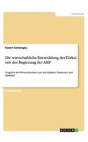 Die wirtschaftliche Entwicklung der Türkei seit der Regierung der AKP: Vergleich der Wirtschaftsdaten mit den Ländern Frankreich und Russland(German)