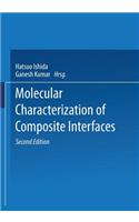 Molecular Characterization of Composite Interfaces