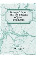 Bishop Colenso and the Descent of Jacob Into Egypt